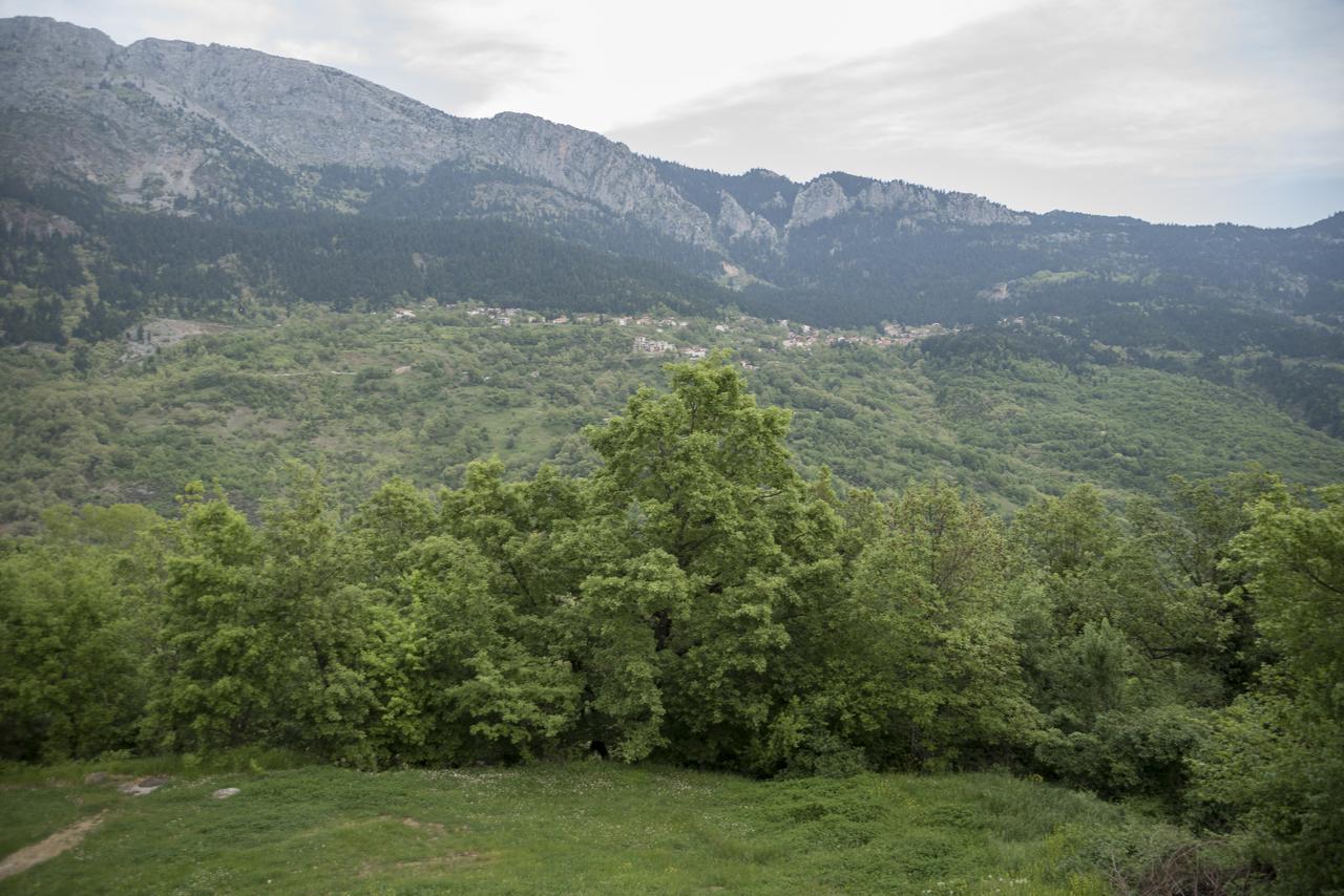 Aparthotel Archontiko Christodoulou Vronterón Exteriér fotografie